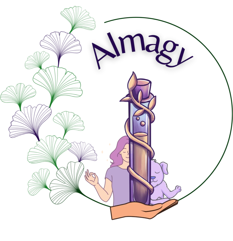 logo Almagy site internet
